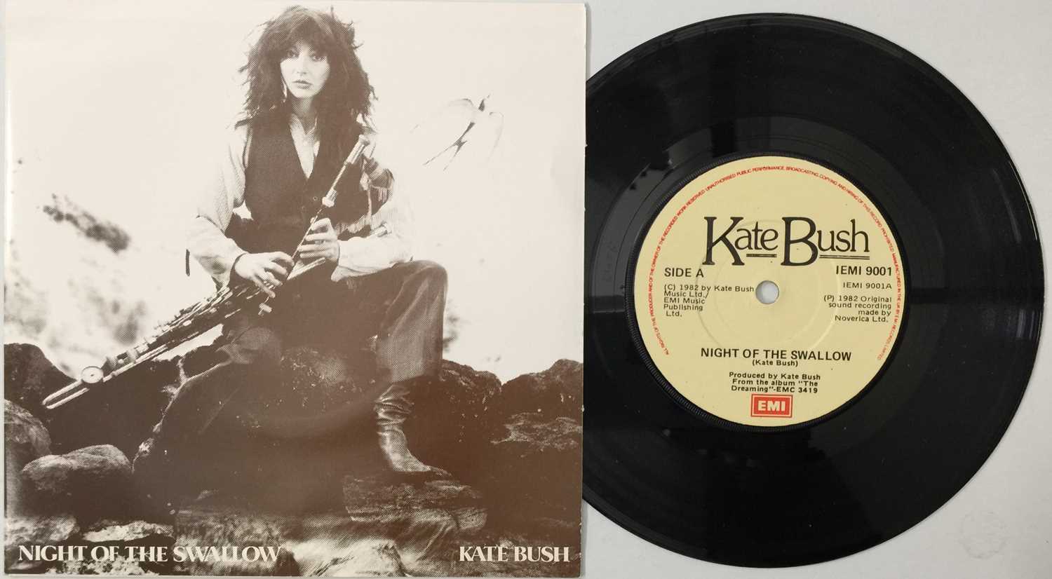 Lot 172 - KATE BUSH - NIGHT AT THE SWALLOW 7