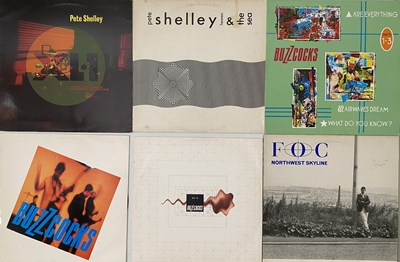 Lot 848 - BUZZCOCKS / DICKIES - LP / 12" COLLECTION