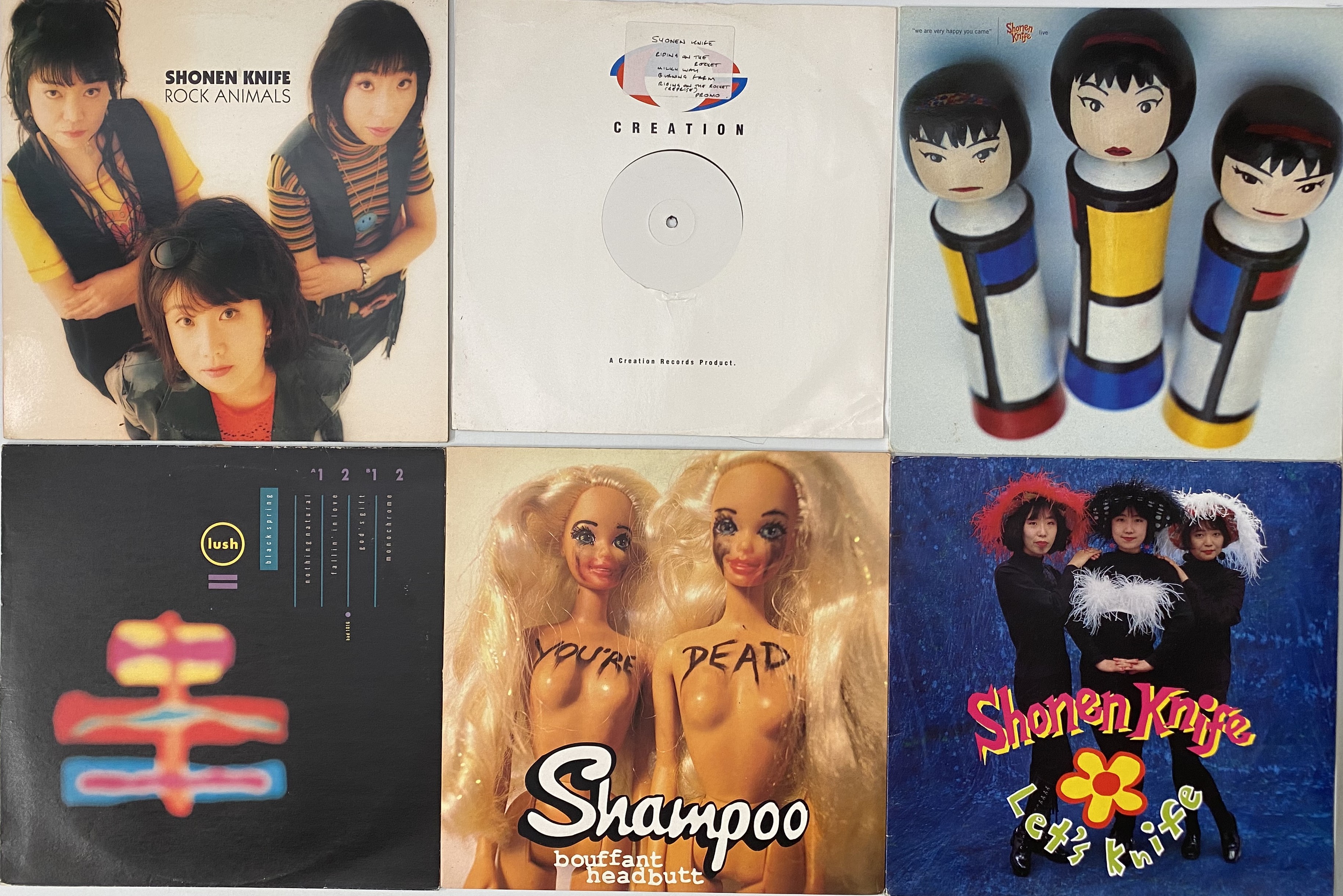 Lot 852 - FEMALE ARTISTS / PUNK / RIOT / GRRRL / INDIE