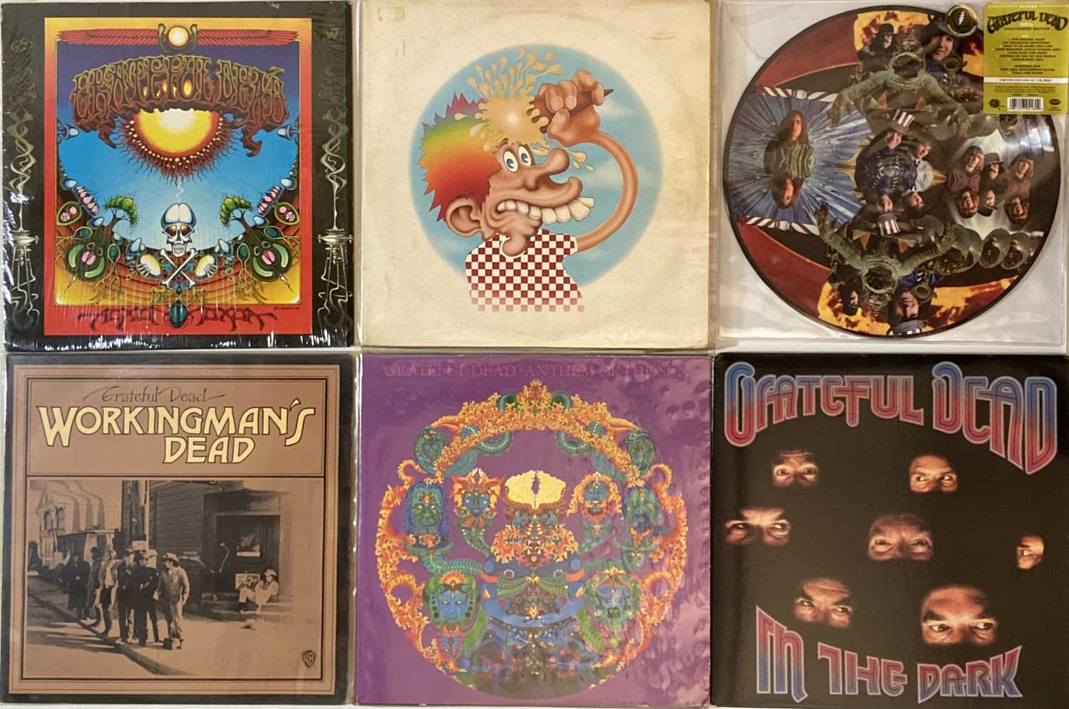 Lot 786 - The Grateful Dead - LP Collection