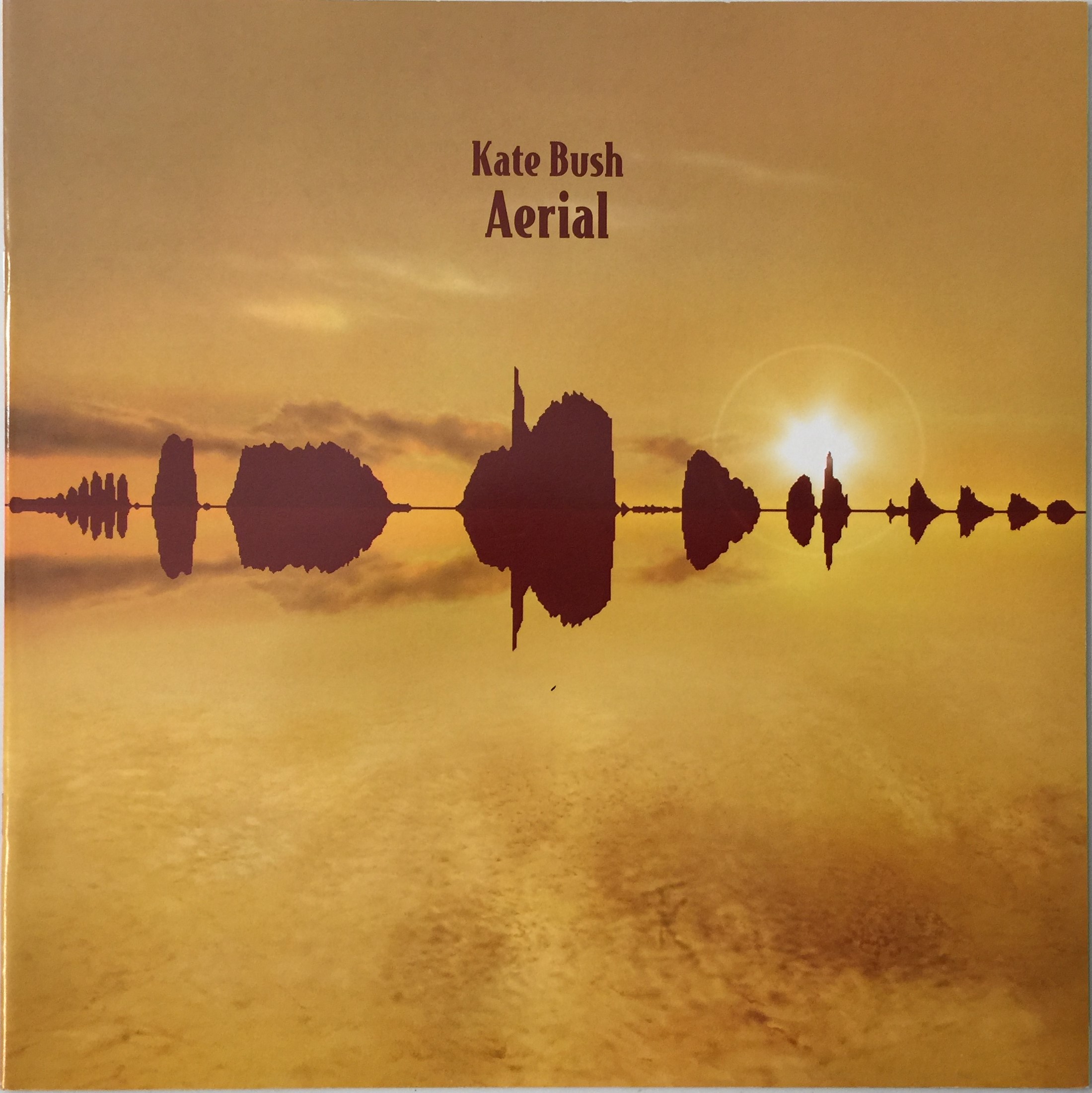 Bush Lp Lot 213 - KATE BUSH - AERIAL LP (ORIGINAL 2005