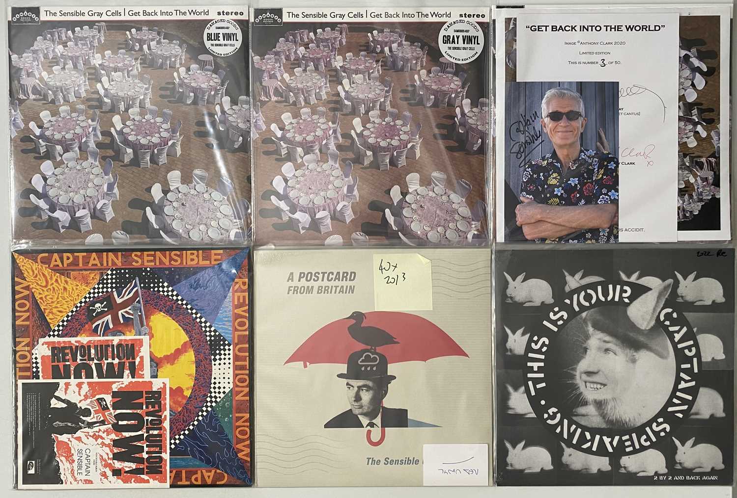 Lot 275 - CAPTAIN SENSIBLE AND RELATED LP/ 12" COLLECTION