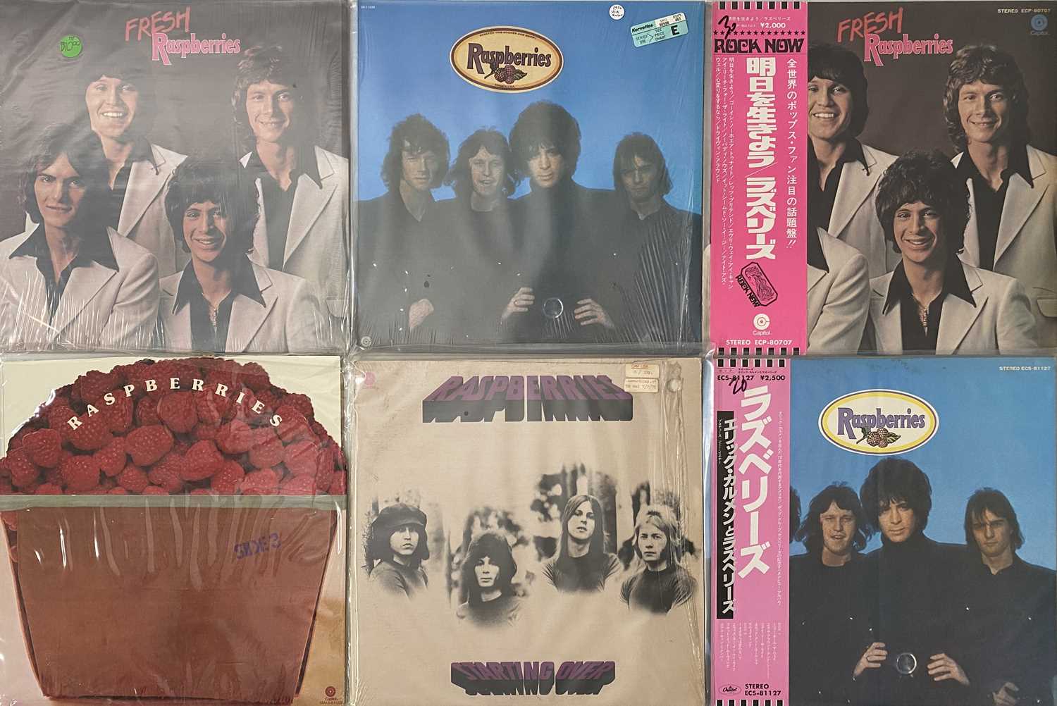 Lot 719 RASPBERRIES LP PACK