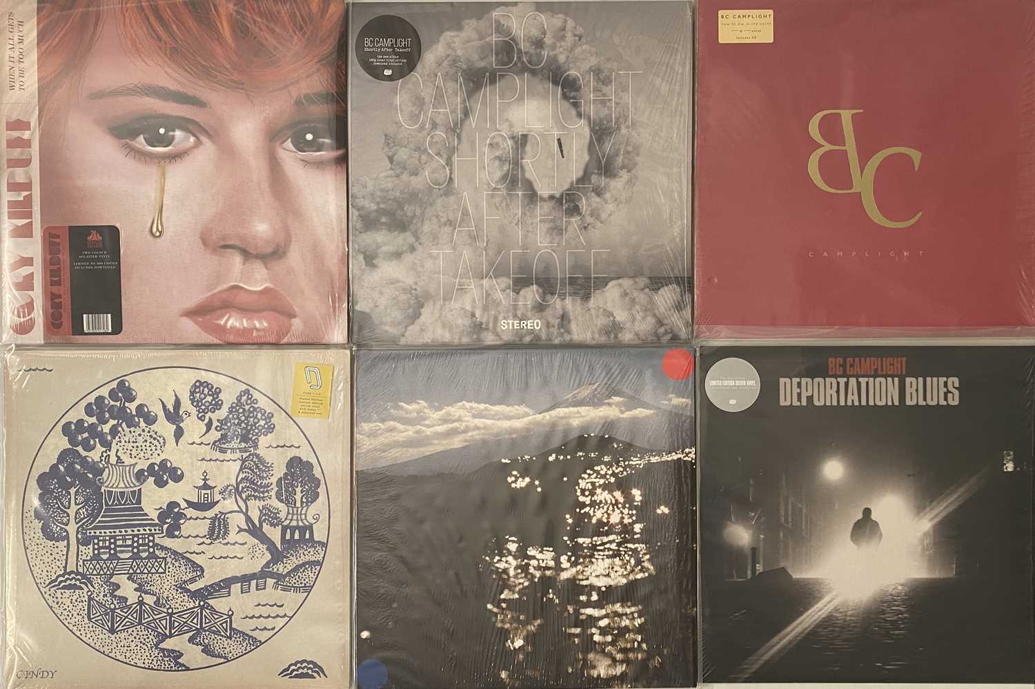 Lot 741 - INDIE / ALT - MODERN LP COLLECTION