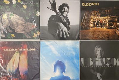 Lot 741 - INDIE / ALT - MODERN LP COLLECTION