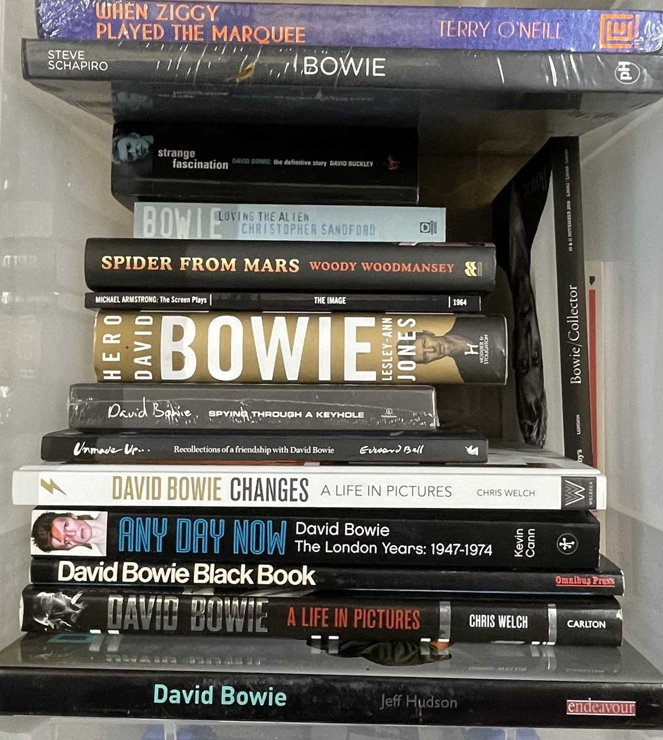 David Collection Books Lot 384 - DAVID BOWIE - LARGE BOOK COLLECTION.
