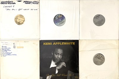 Lot 91 - US INDIE - 12" COLLECTION