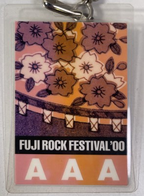 Lot 479 - RIDE - A COLLECTION OF MARK GARDENER OWNED AND USED AAA PASSES.