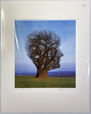 Lot 295 - PINK FLOYD / STORM THORGERSON TREE OF HALF LIFE SIGNED FINE ART PRINT.