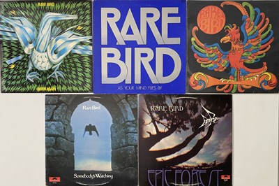 Lot 919 - RARE BIRD - LP RARITIES PACK