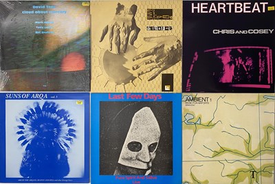 Lot 1010 - EXPERIMENTAL / ELECTRONIC - LP COLLECTION