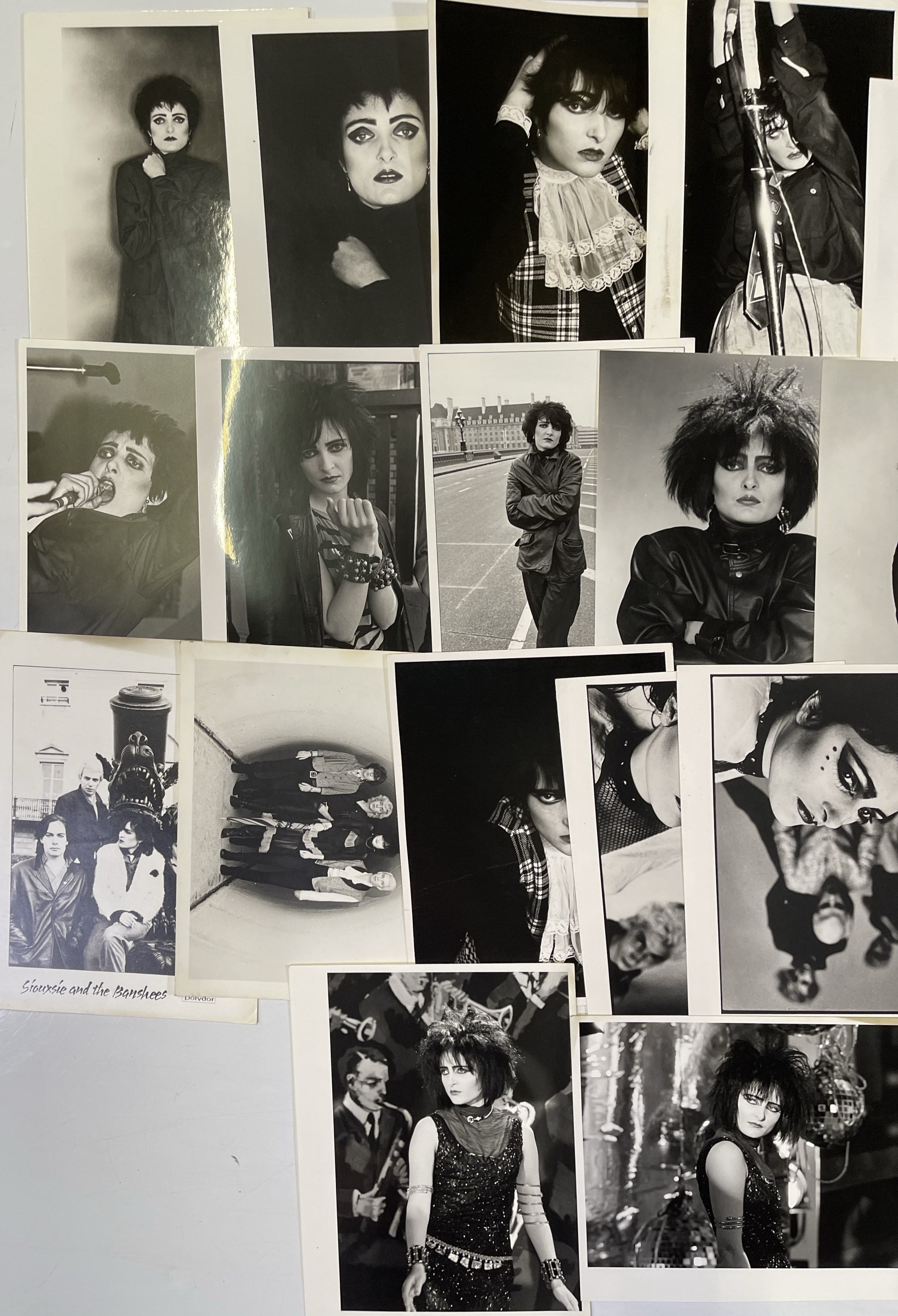 the siouxsie and the banshees