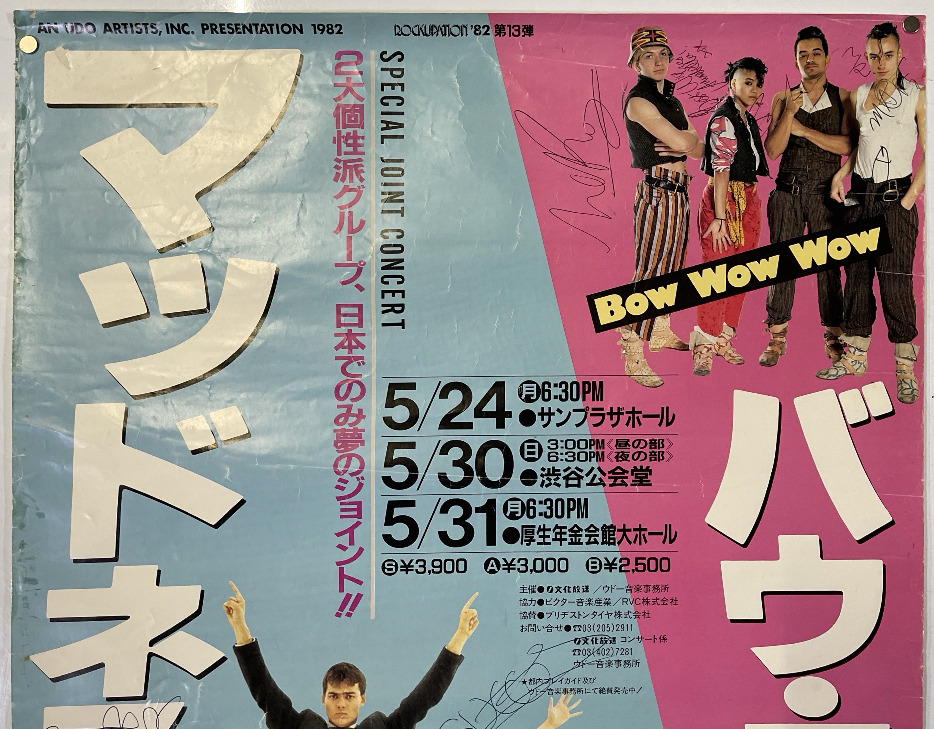 DVD△BOWWOW SUPER LIVE 2009/DAISUKE/山本恭司/斉藤光浩/新美