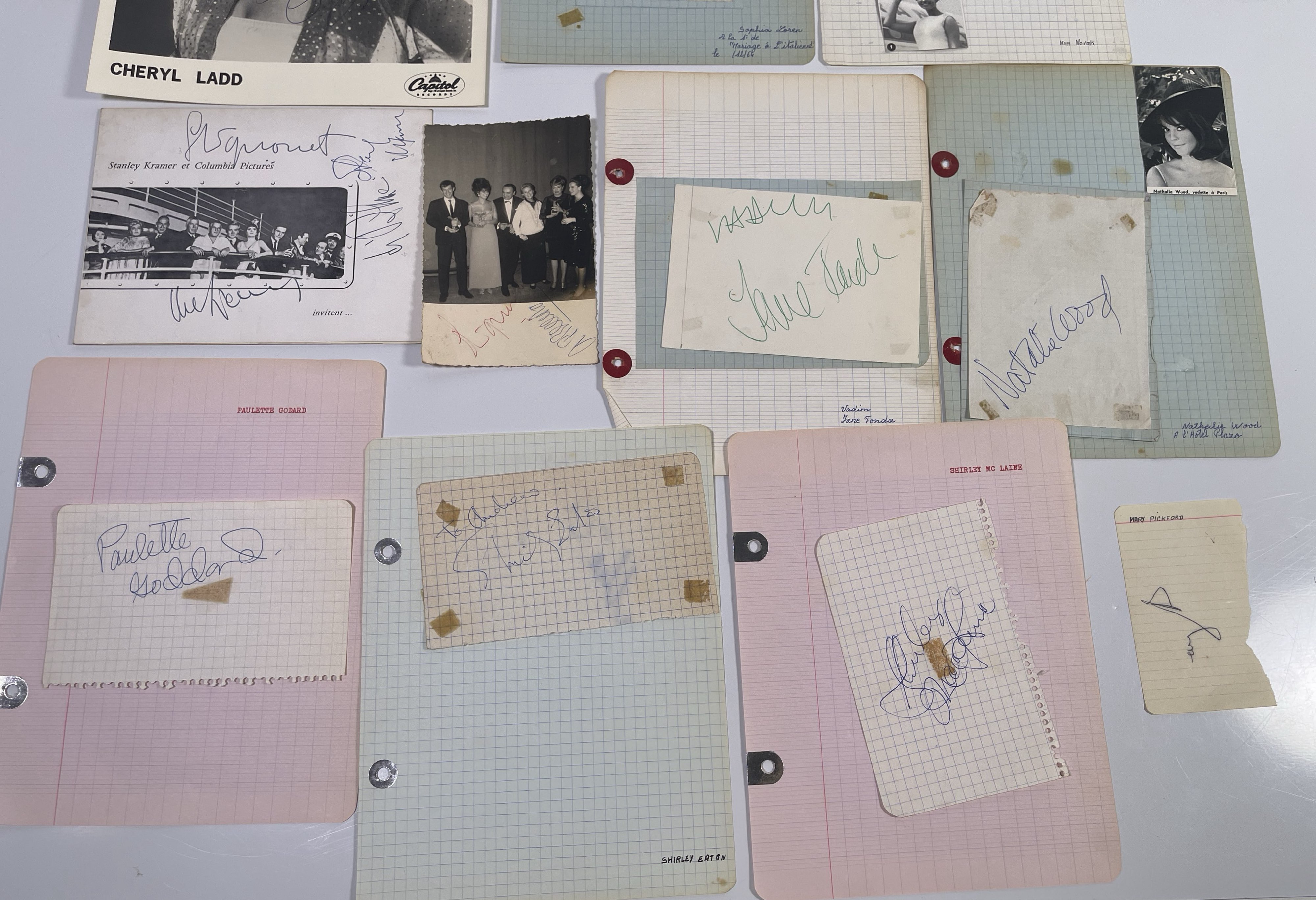 Lot 155 - AUTOGRAPH COLLECTION INC US LEADING LADIES