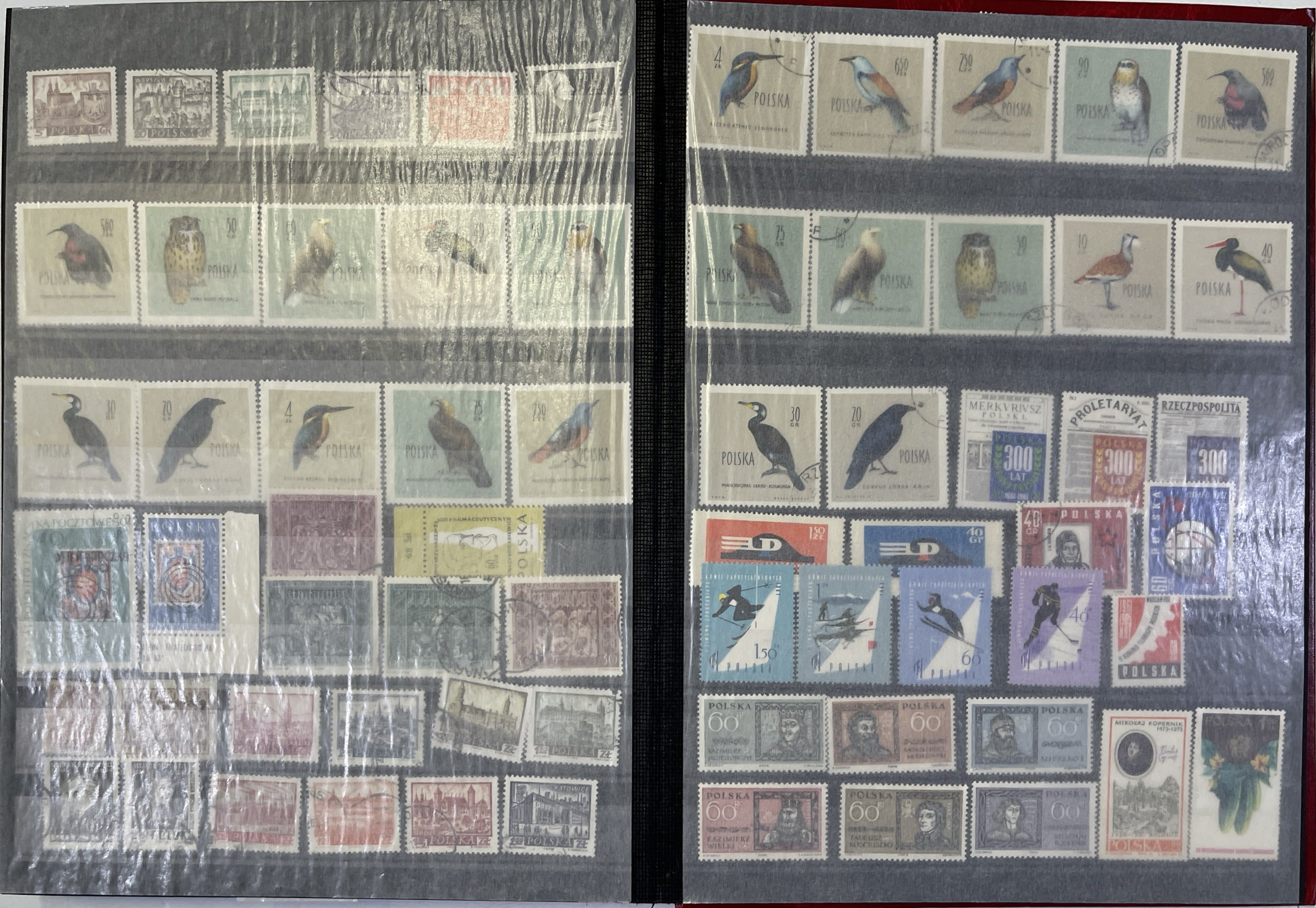 Prophila Collection – All World 50 Different Special Stamps (Overseas Edition) For Collectors