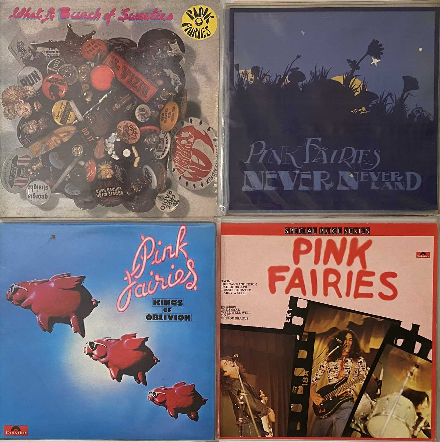 Lot 132 - PINK FAIRIES - LPs