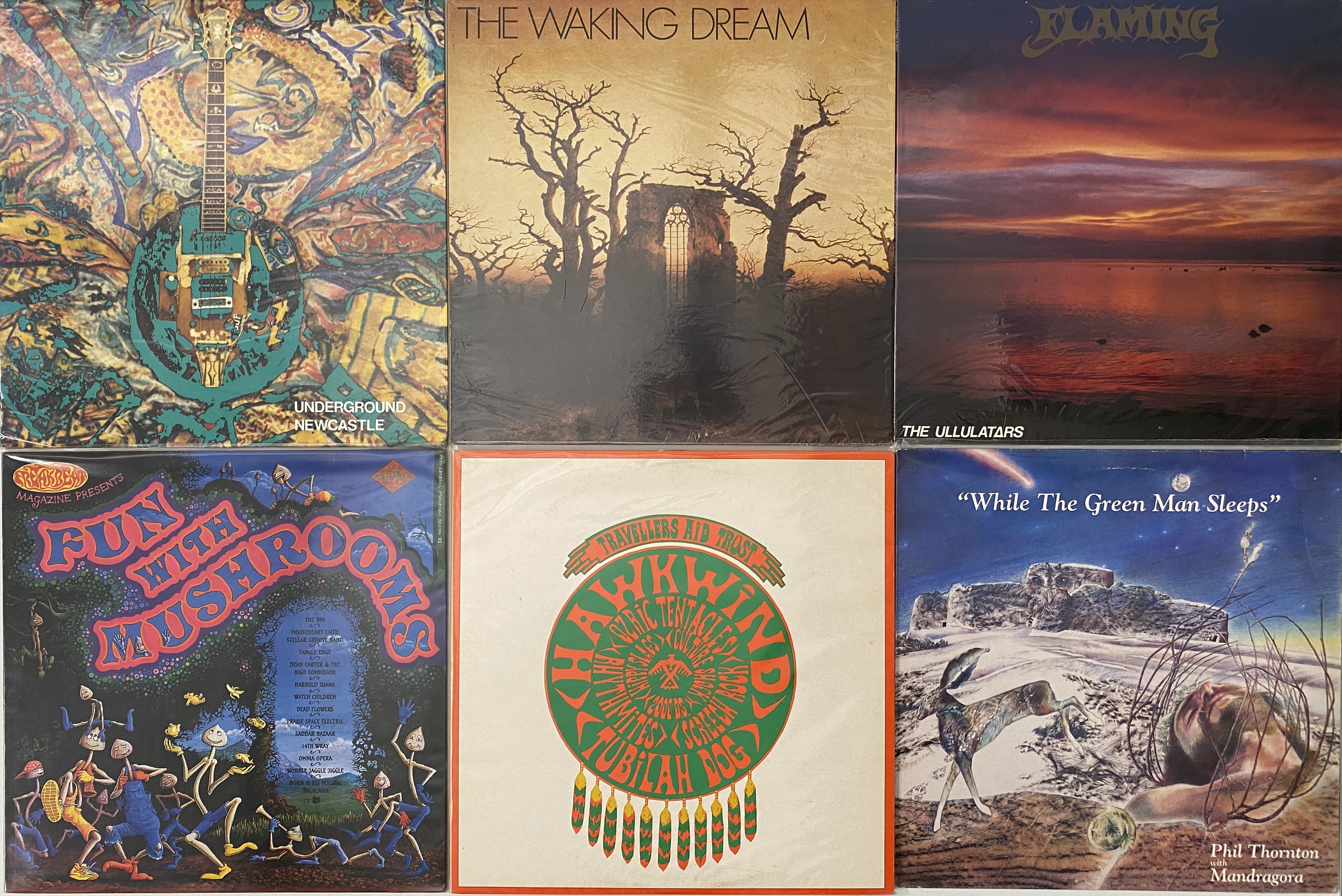 Lot 654 - PSYCH - LP COLLECTION