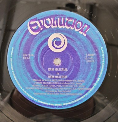 Lot 80 - RAW MATERIAL - S/T LP (UK ORIGINAL - EVOLUTION - Z1006)