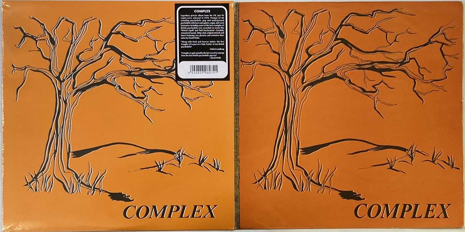 Lot 307 - COMPLEX - COMPLEX LP (ORIGINAL UK SELF-RELEASED PRESSING TD 6869)