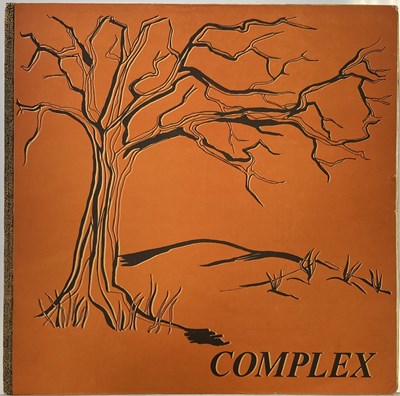 Lot 307 - COMPLEX - COMPLEX LP (ORIGINAL UK SELF-RELEASED PRESSING TD 6869)