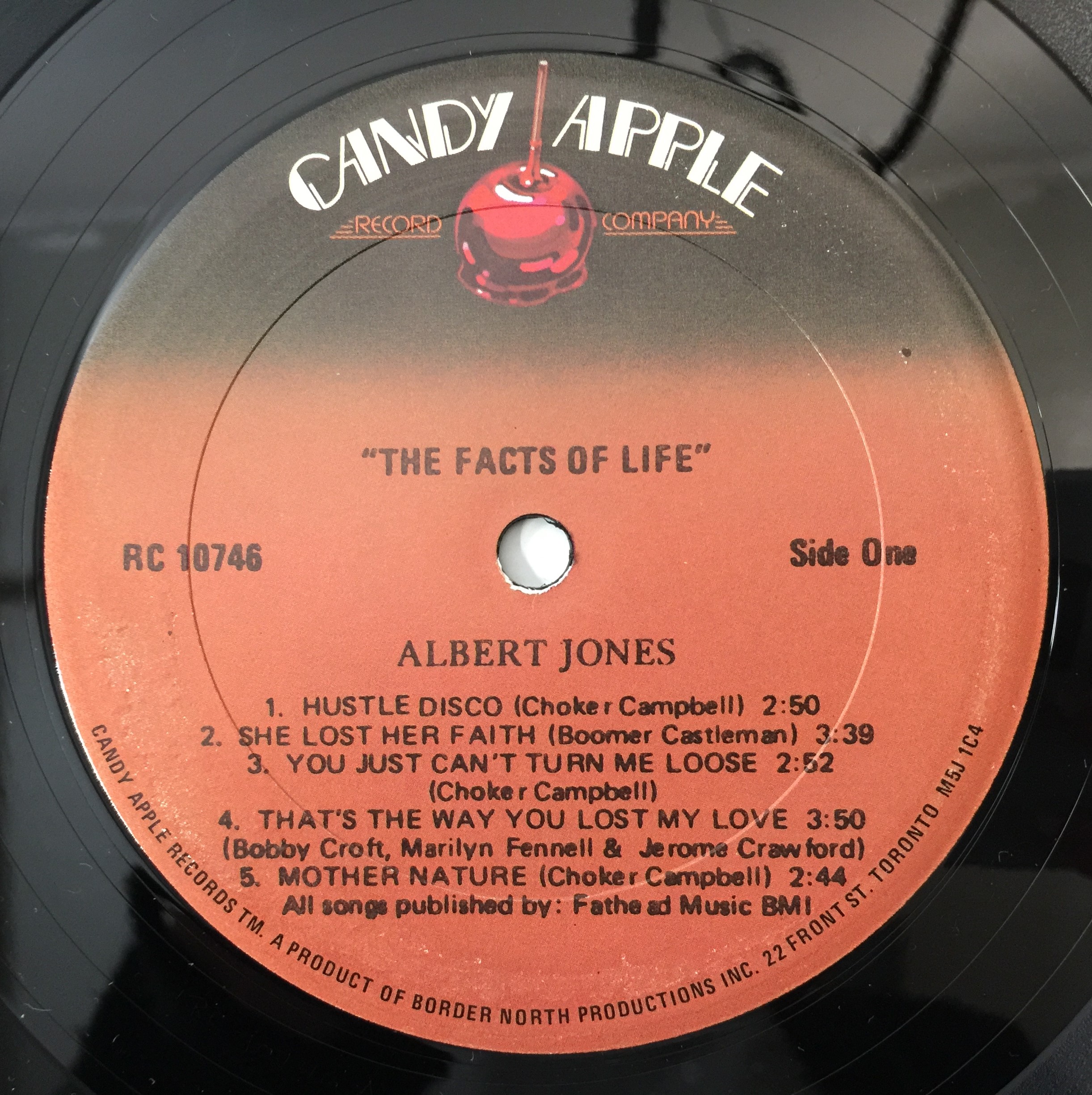  JONES The Facts of Life LPレコード JONES The Facts of Life LPレコード ALBERT JONES /The Facts Of Life