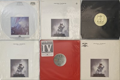 Lot 111 - KATE BUSH - 12" COLLECTION