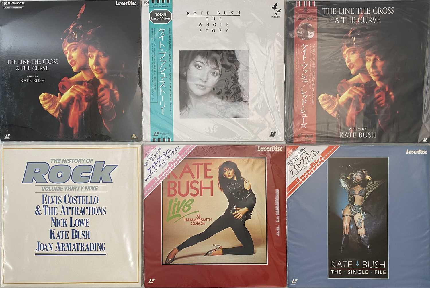 Bush Lp Lot 112 - KATE BUSH - LP/ LASER DISC PACK