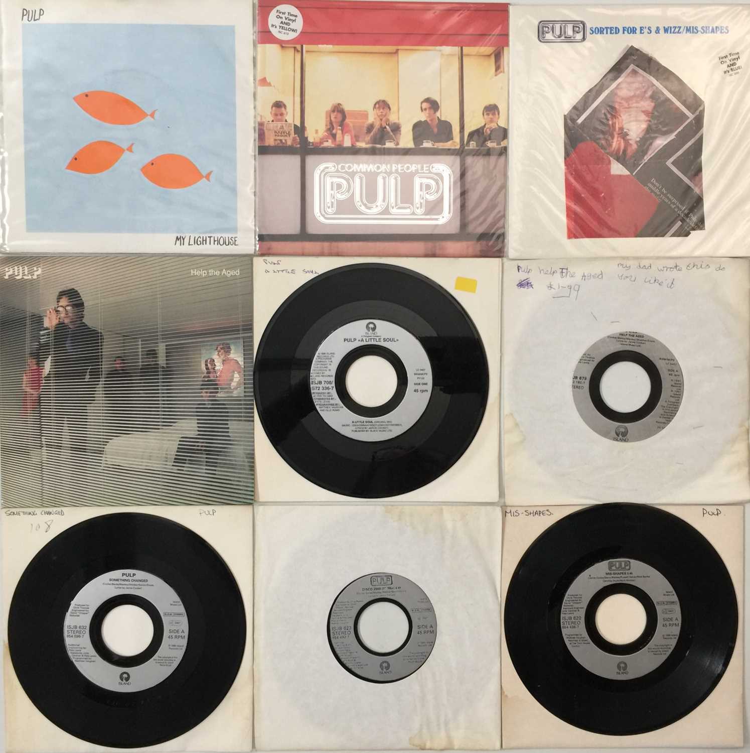 Lot 100 - PULP - 7