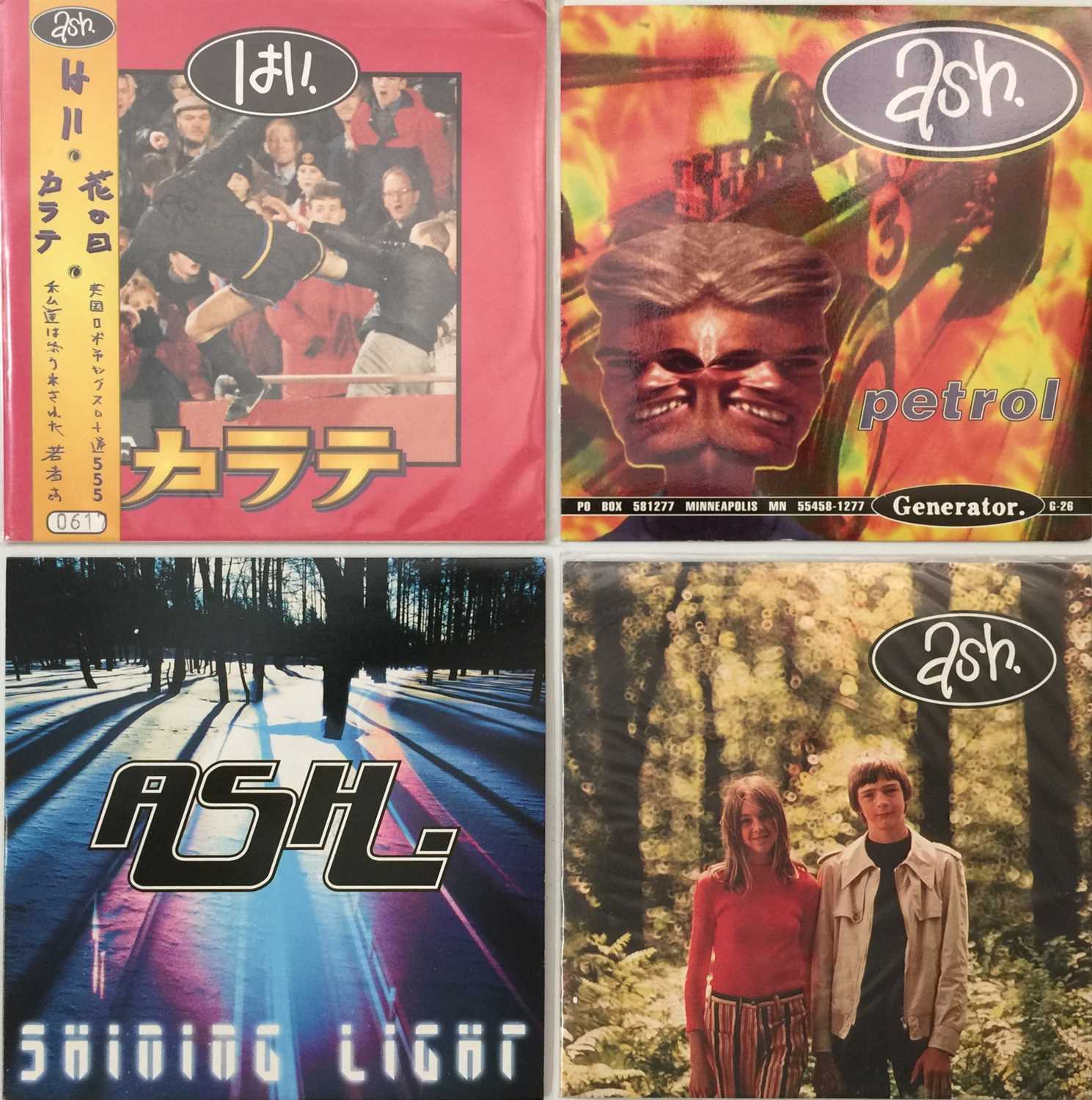 Lot 104 - ASH - 7