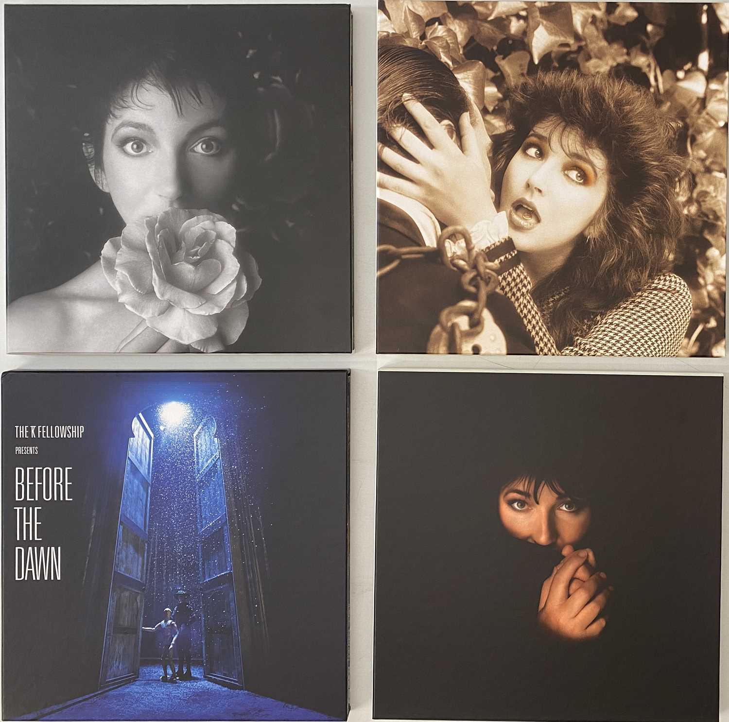Bush Lp Lot 225 - KATE BUSH - REMASTERED LP BOX SETS