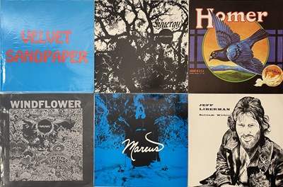 Lot 905 - PSYCH/ GARAGE - MODERN/ REVIVAL LP COLLECTION