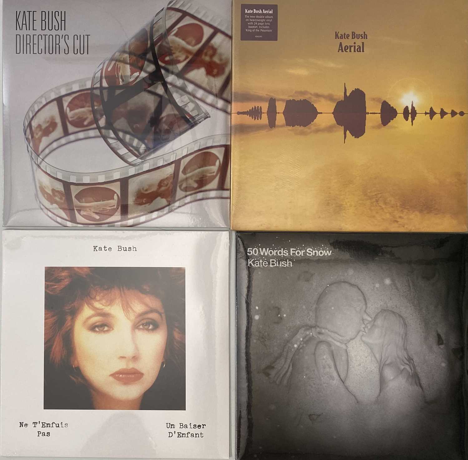 Bush Lp Lot 494 - KATE BUSH LP PACK