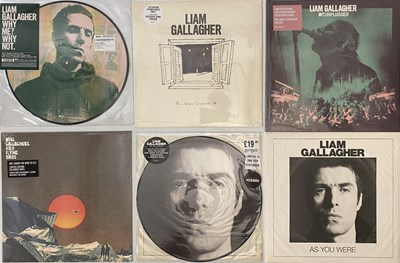 Lot 498 - LIAM AND NOEL GALLAGHER LP AND 7" COLLECTION