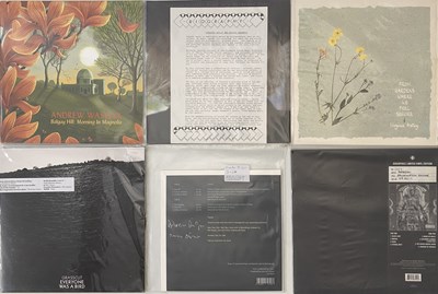 Lot 753 - INDIE/ ELECTRONICA/ AMBIENT - LP PACK