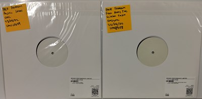 Lot 13 - PALE FOUNTAINS - 2022 WHITE LABEL TEST PRESSING LPs