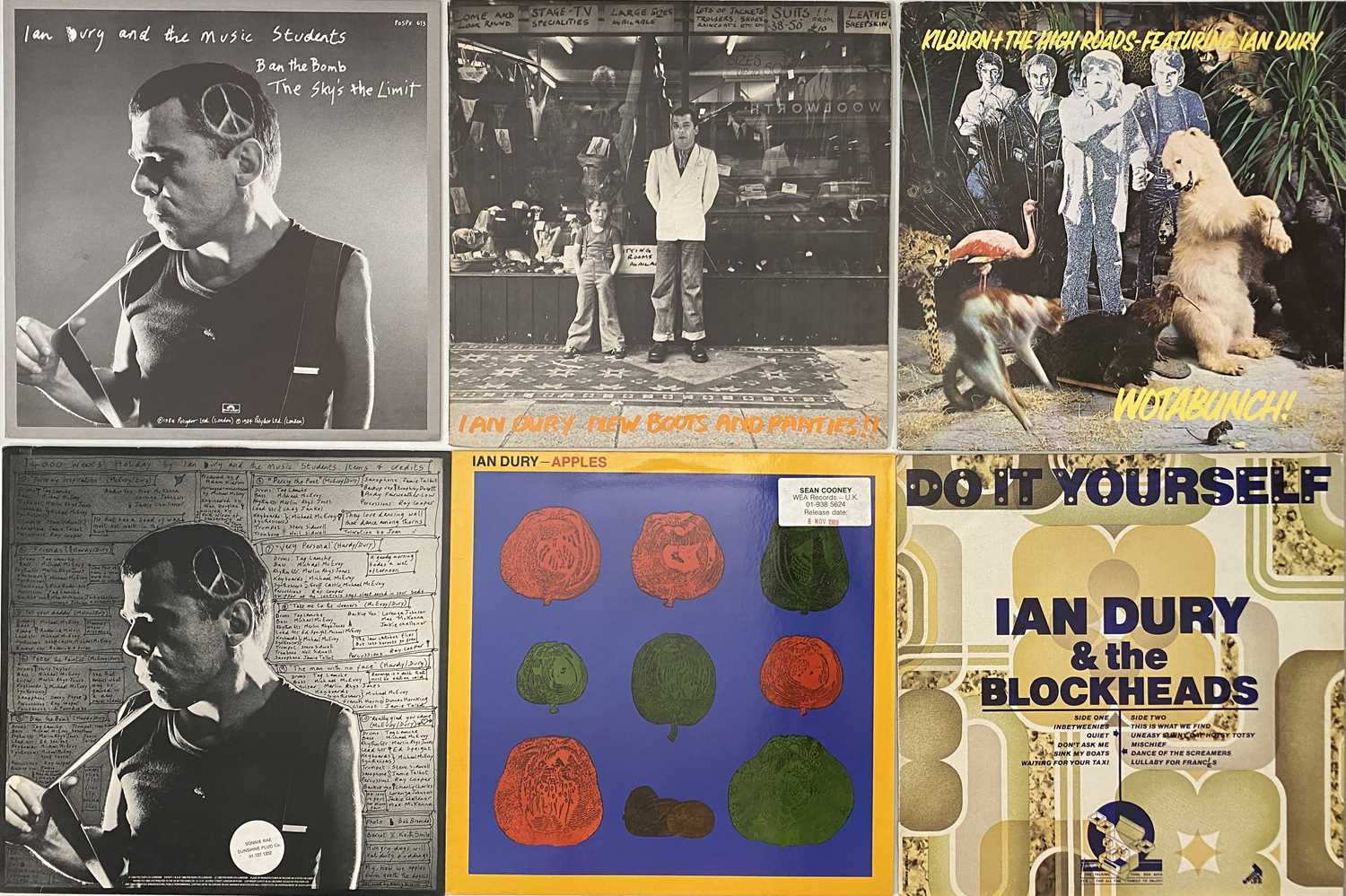 Lot 50 - ALT ROCK/ POST PUNK - LP COLLECTION