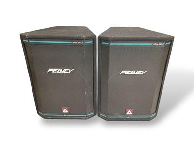 Lot 2 - PEAVEY HISYS 2XT SPEAKERS - PAIR