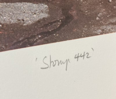 Lot 506 - ANTHRAX / STORM THORGERSON STOMP 442 SIGNED FINE ART PRINT.