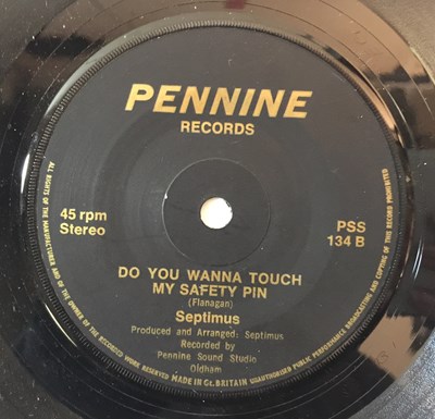 Lot 66 - SEPTIMUS - FERRETS/DO YOU WANNA TOUCH MY SAFETY PIN 7" (PENNINE RECORDS PSS 134)