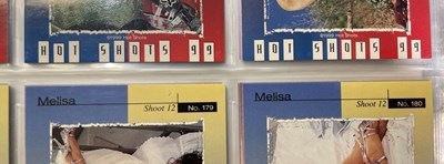 Lot 15 - TRADING CARDS - 11 BINDERS WITH LARGE COLLECTION OF 1990S GLAMOUR/ADULT/EROTICA CARDS.