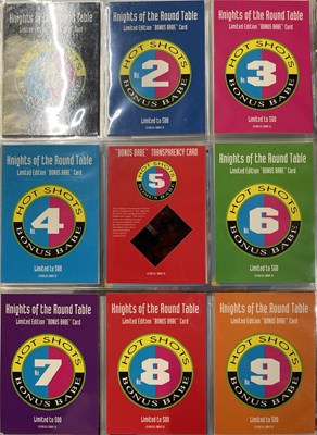 Lot 15 - TRADING CARDS - 11 BINDERS WITH LARGE COLLECTION OF 1990S GLAMOUR/ADULT/EROTICA CARDS.
