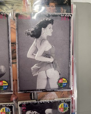 Lot 15 - TRADING CARDS - 11 BINDERS WITH LARGE COLLECTION OF 1990S GLAMOUR/ADULT/EROTICA CARDS.