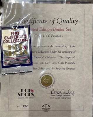 Lot 15 - TRADING CARDS - 11 BINDERS WITH LARGE COLLECTION OF 1990S GLAMOUR/ADULT/EROTICA CARDS.