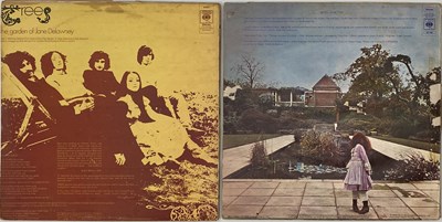 Lot 11 - TREES - LP RARITIES PACK