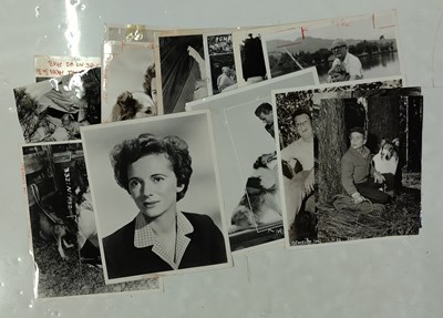 Lot 185 - CLASSIC US TELEVISION PROGRAMMES / WESTERN - LARGE COLLECTION OF PRESS PHOTOGRAPHS.