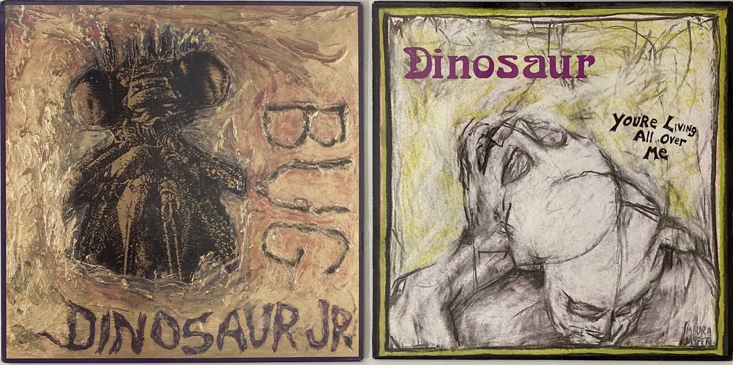 Lot 121 - DINOSAUR JR - LP RARITIES PACK