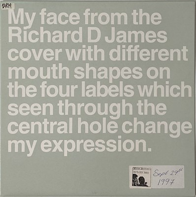 Lot 133 - APHEX TWIN - COME TO DADDY LP (PROMOTIONAL 12" - WAP94P)