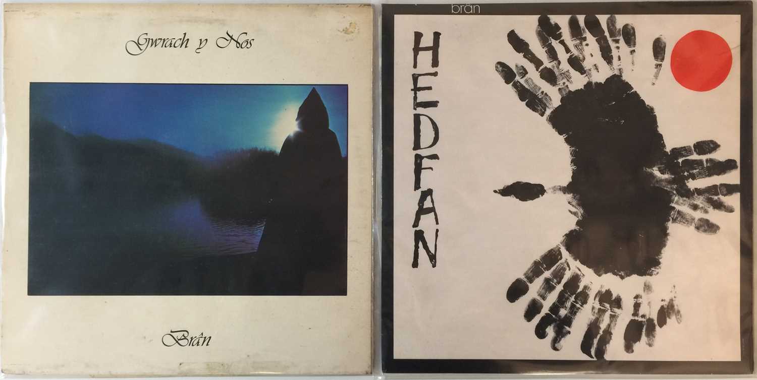 Lot 5 - BRAN - HEDFAN & GWRACH Y NOS LPs (ORIGINAL WELSH PRESSINGS - SAIN RECORDS)