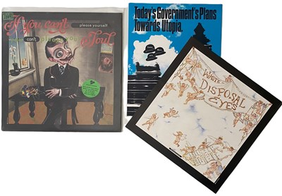 Lot 198 - INDIE / ALT / PUNK - LP COLLECTION (INC PRESS RELEASES / LETTERS FROM BAND / MANAGEMENT ECT)
