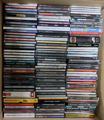Lot 2 - PUNK, INDIE, ALT AND RELATED CD COLLECTION